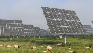 Solar Farm 