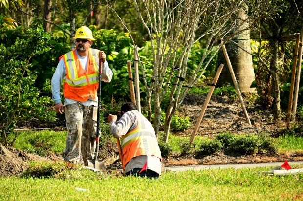 Construction Workers 