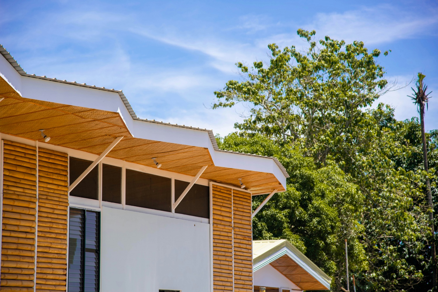View of Benefits of Bamboo Materials in the Construction Sector | Construction ...