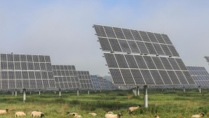 Solar Farm 